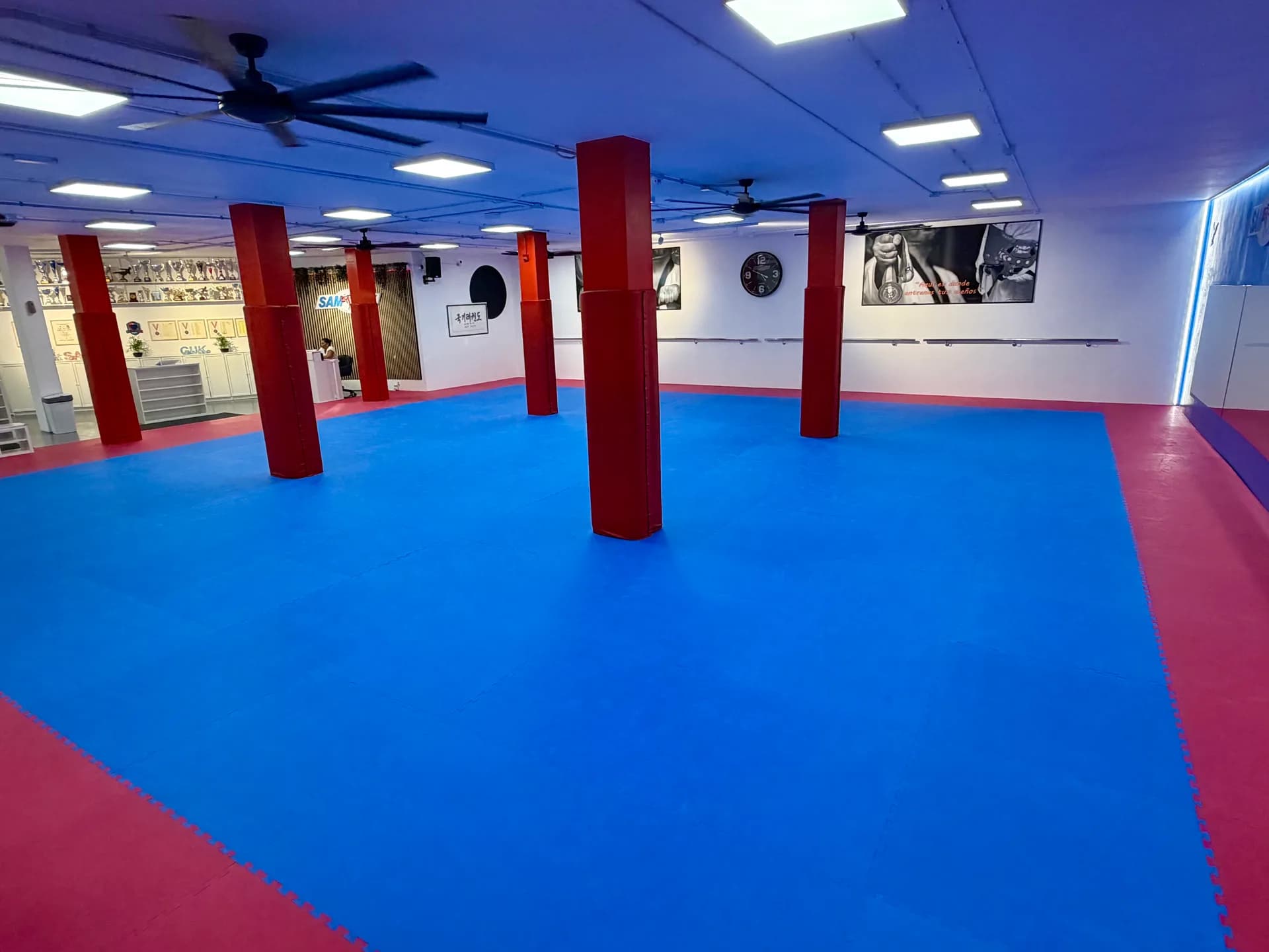 Vista amplia del tatami azul de SAMGUK con columnas protegidas en rojo.